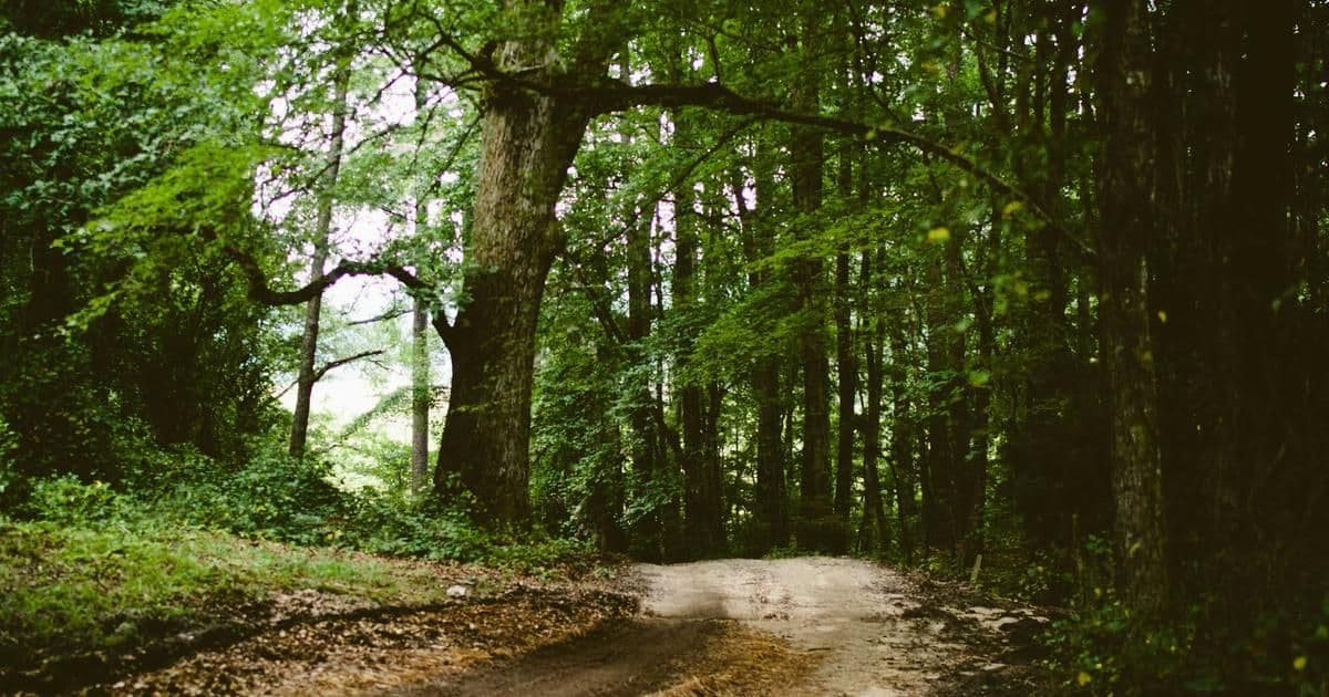 Building Your First REST API with Node.js and Express